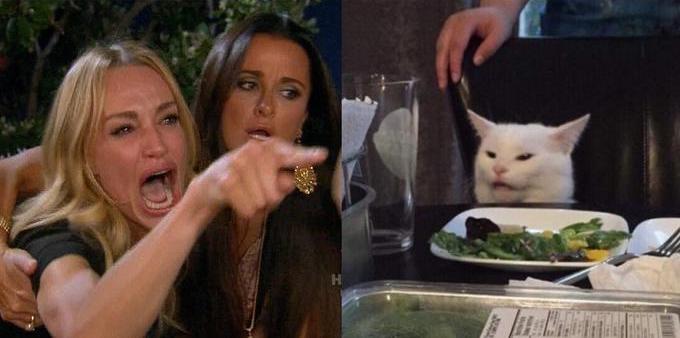 Woman in tears yelling at a cat seated at a dinner table. No, I'm not making this up.